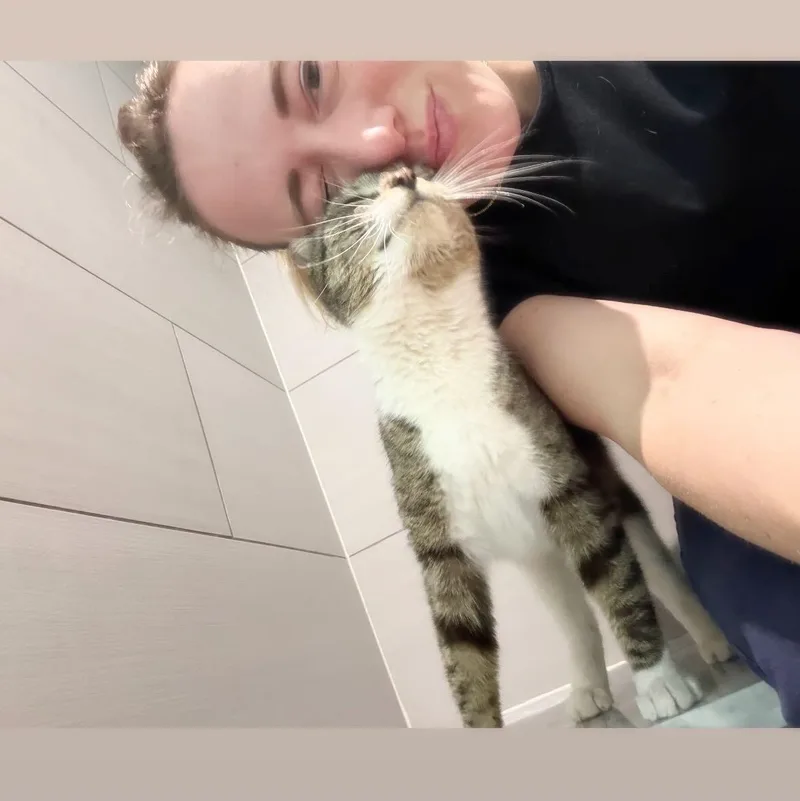 Tiramisu thumbnail 2