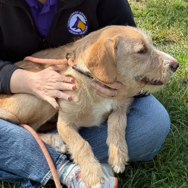 Lovely Luna Gorgeous Inside thumbnail 2