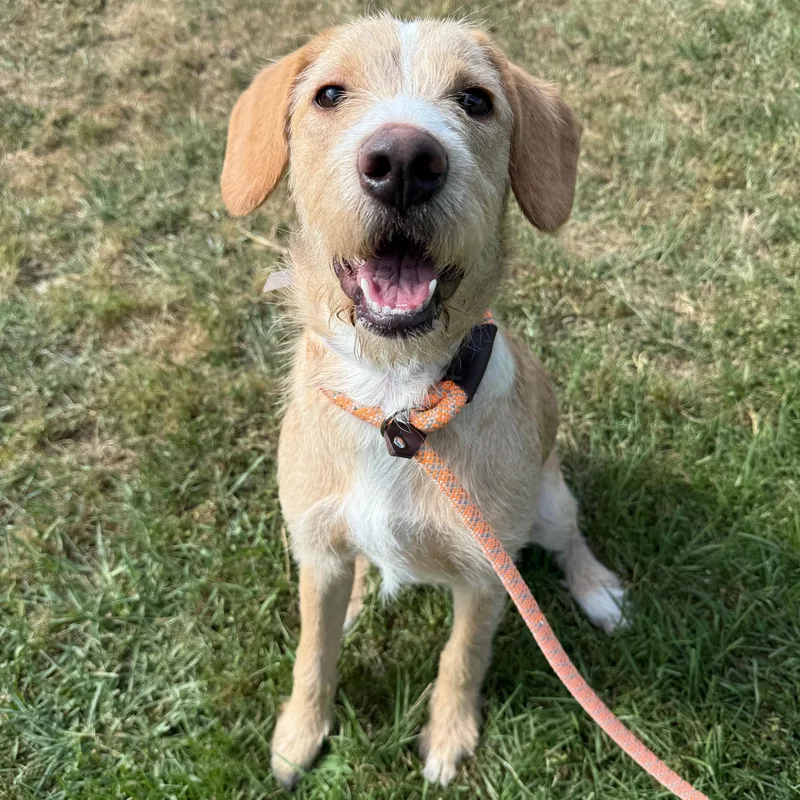 Lovely Luna Gorgeous Inside thumbnail 3