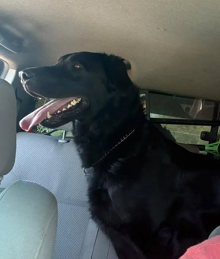 Ranger
