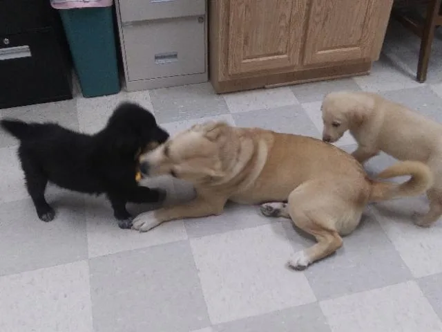 Daisy Mae thumbnail 5