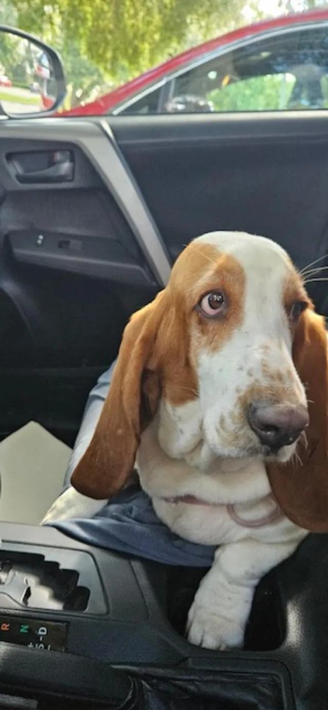 Daisy Mae thumbnail 2