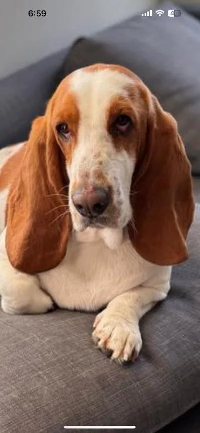 Daisy Mae thumbnail 3