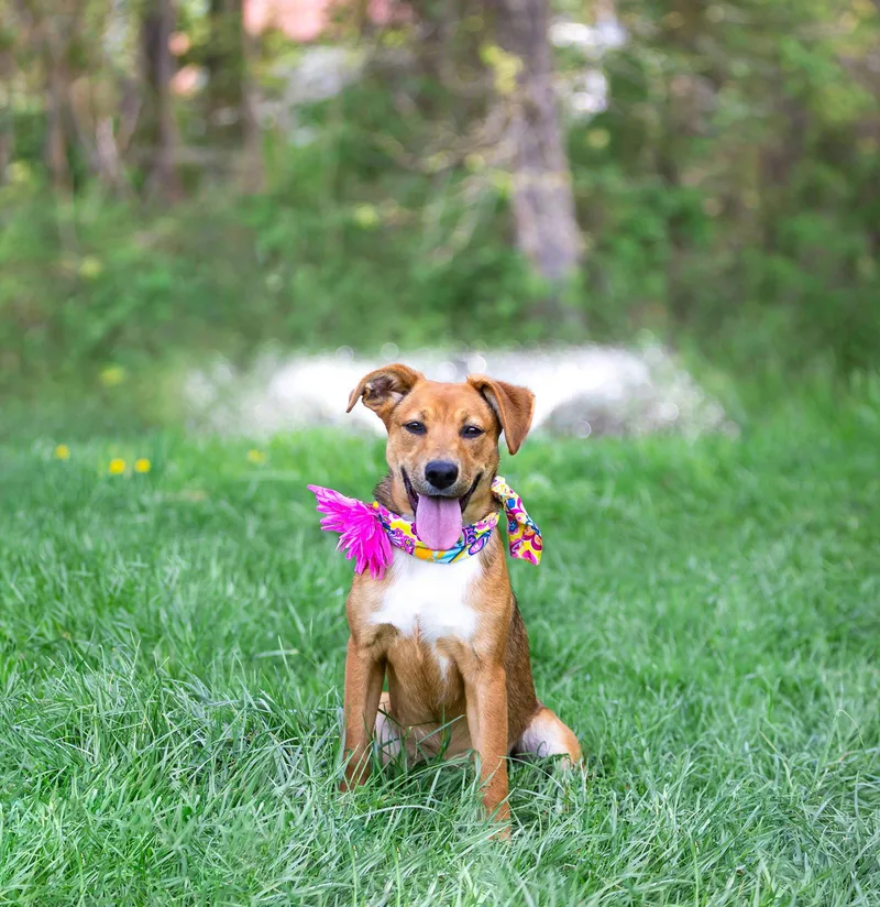 Carmelita thumbnail 2