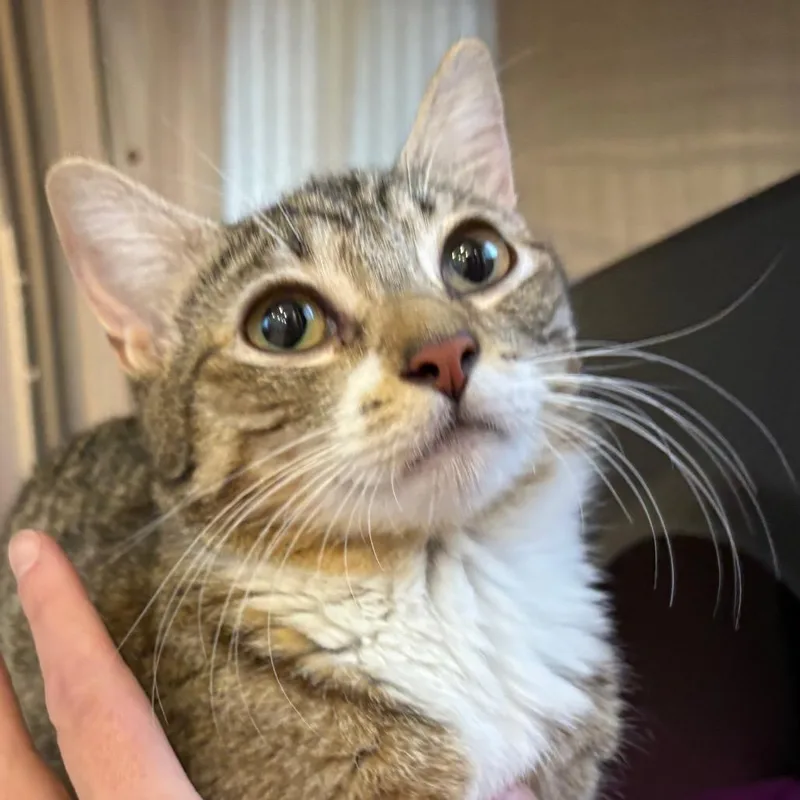 Maisy thumbnail 2