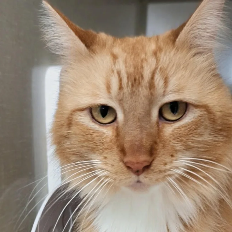 Big Mikey thumbnail 3