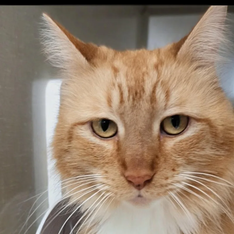 Big Mikey thumbnail 4