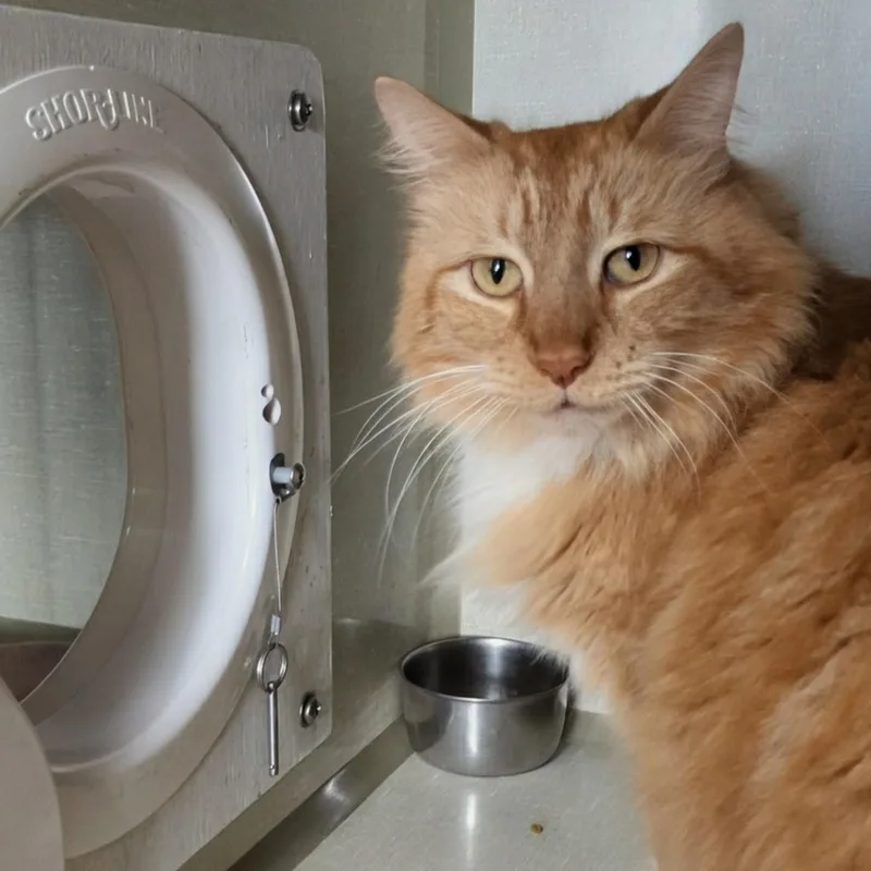 Big Mikey thumbnail 6