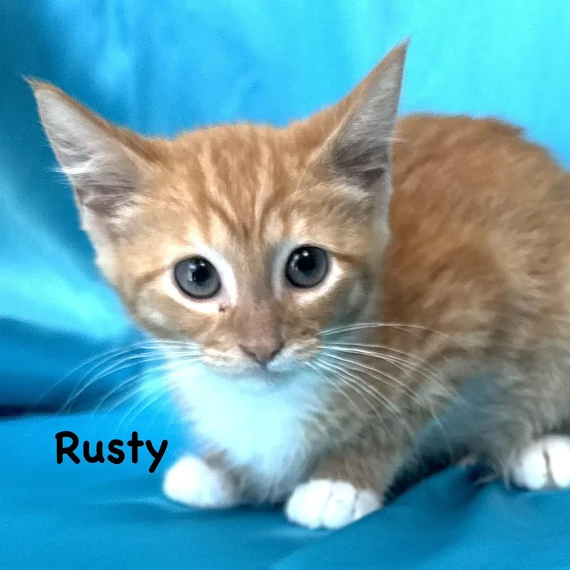 Rusty s thumbnail 2