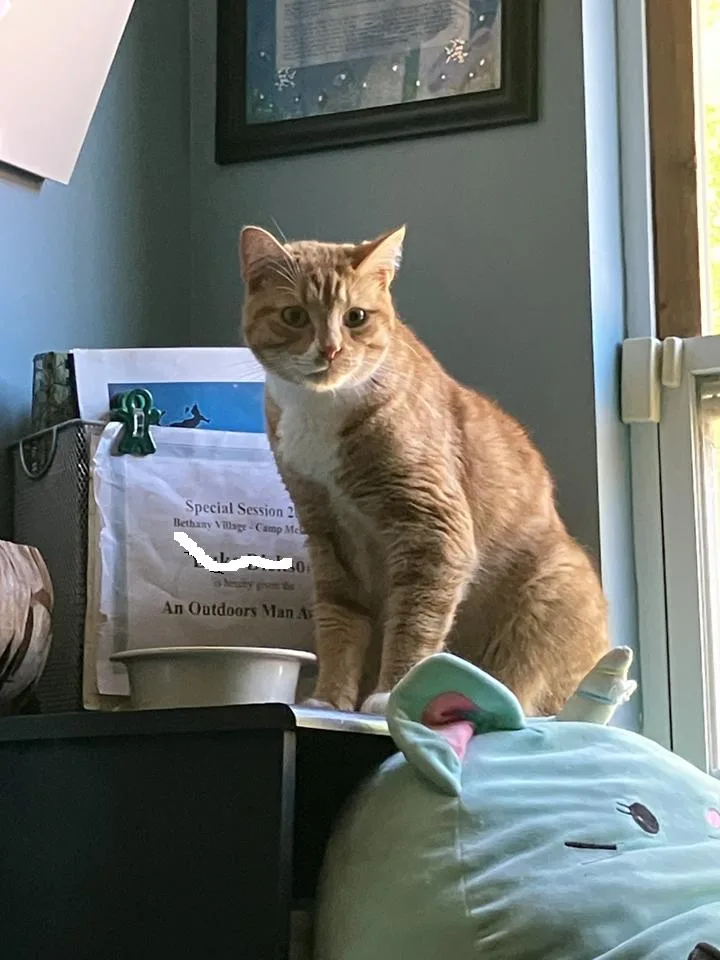 Ron Clark thumbnail 3