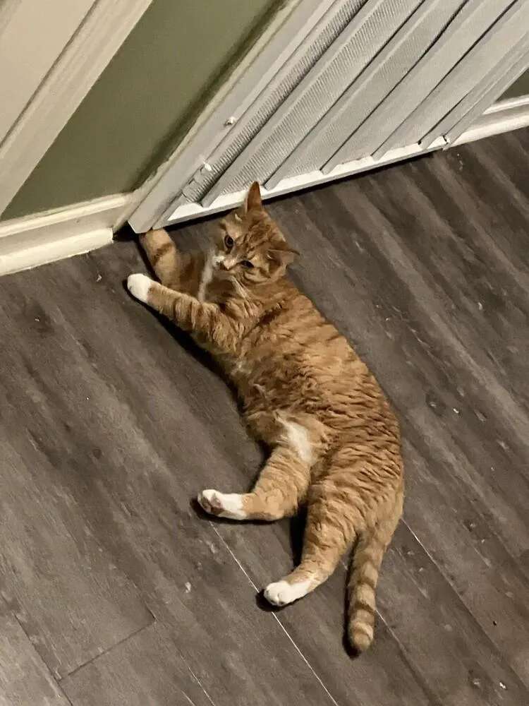 Ron Clark thumbnail 4