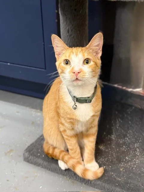 Ryder  Our Longest thumbnail 3