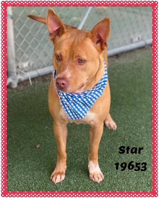 Star