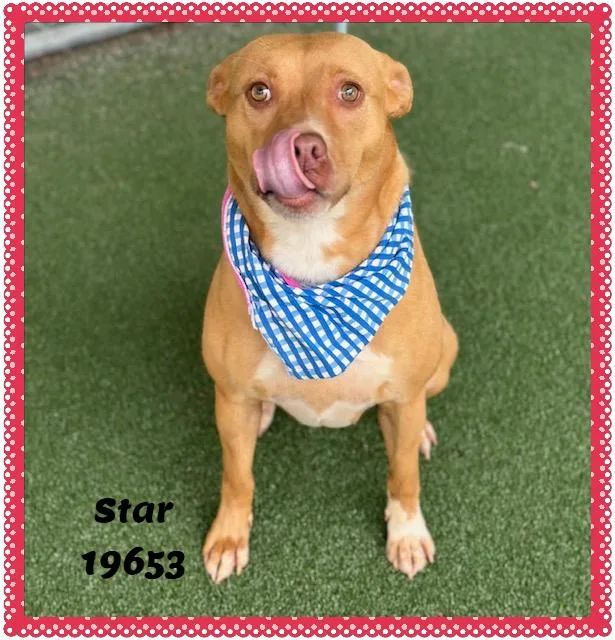 Star thumbnail 3