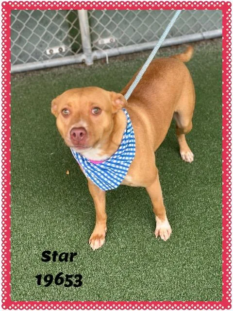 Star thumbnail 5