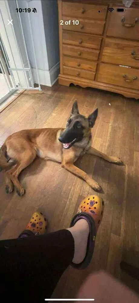 Lily Located In Kansas thumbnail 2