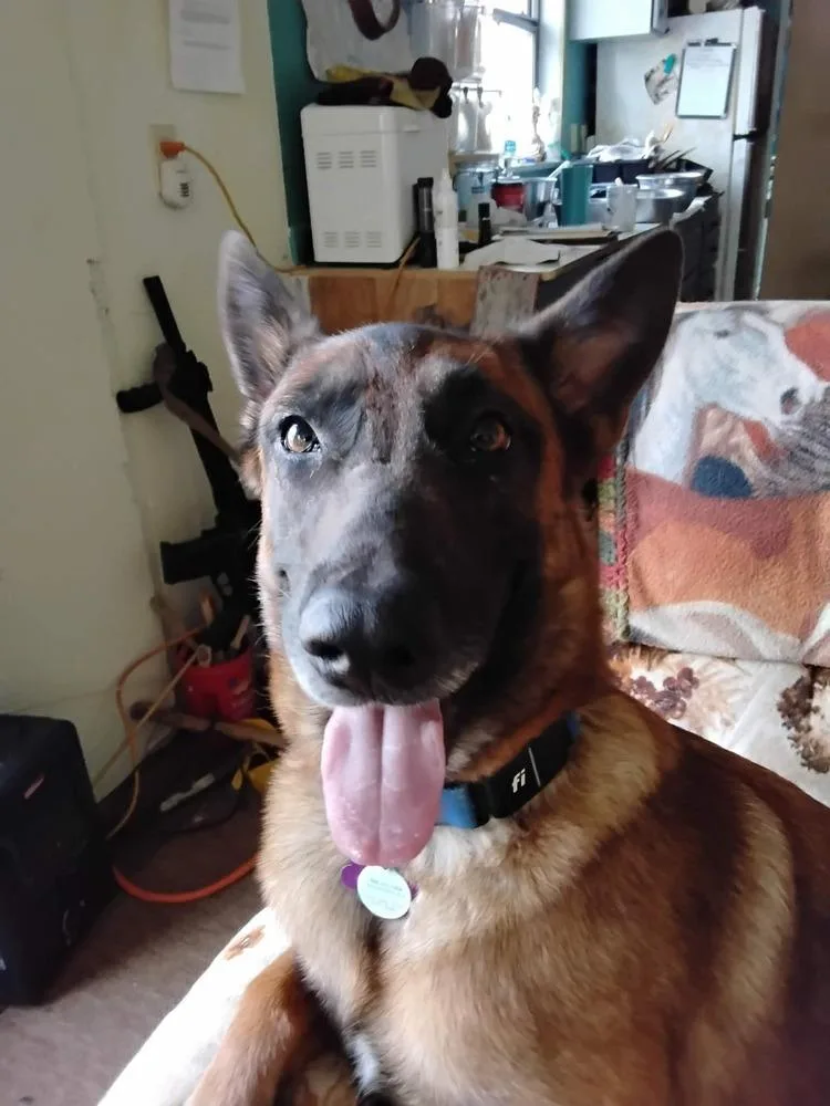 Lily Located In Kansas thumbnail 3