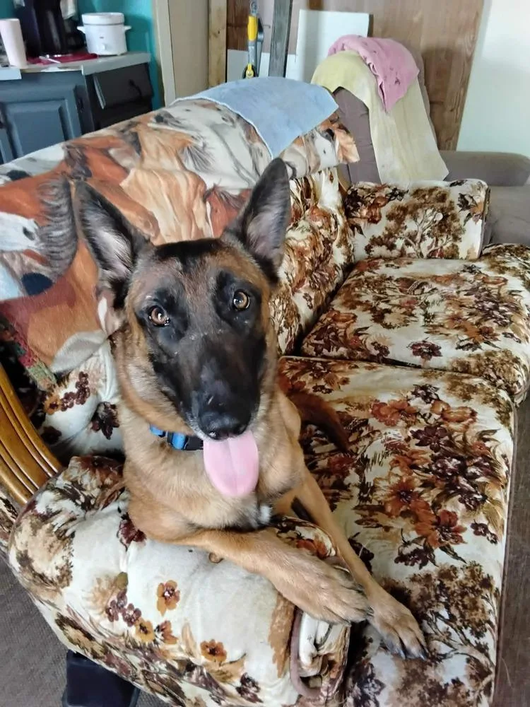 Lily Located In Kansas thumbnail 6