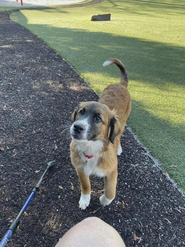 Willow Fl thumbnail 2