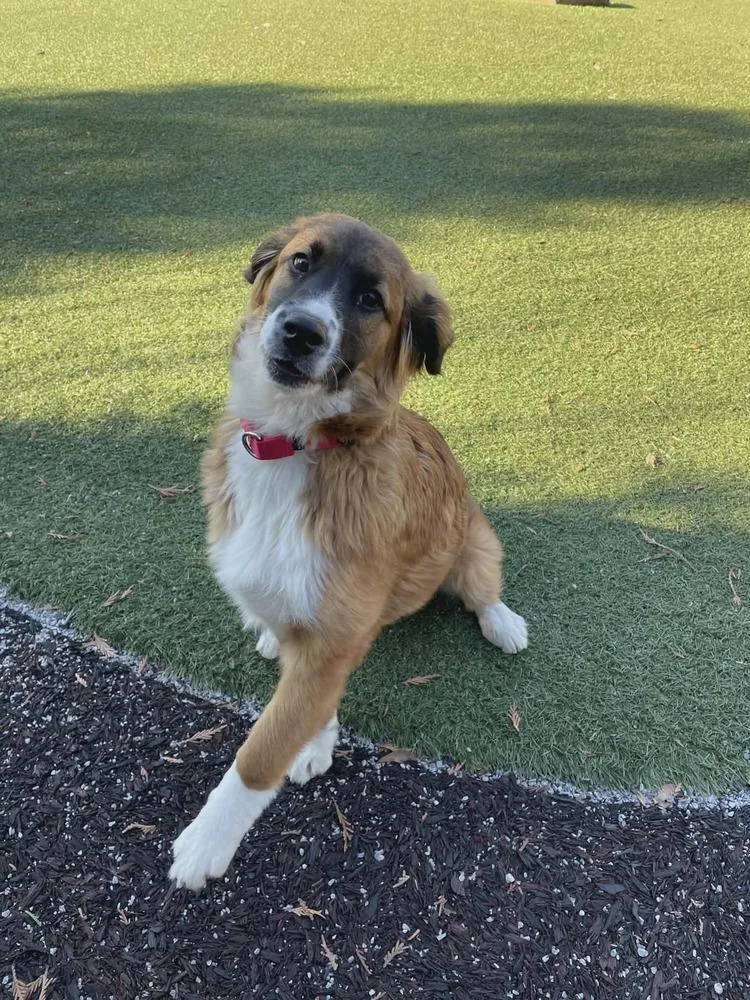 Willow Fl thumbnail 5