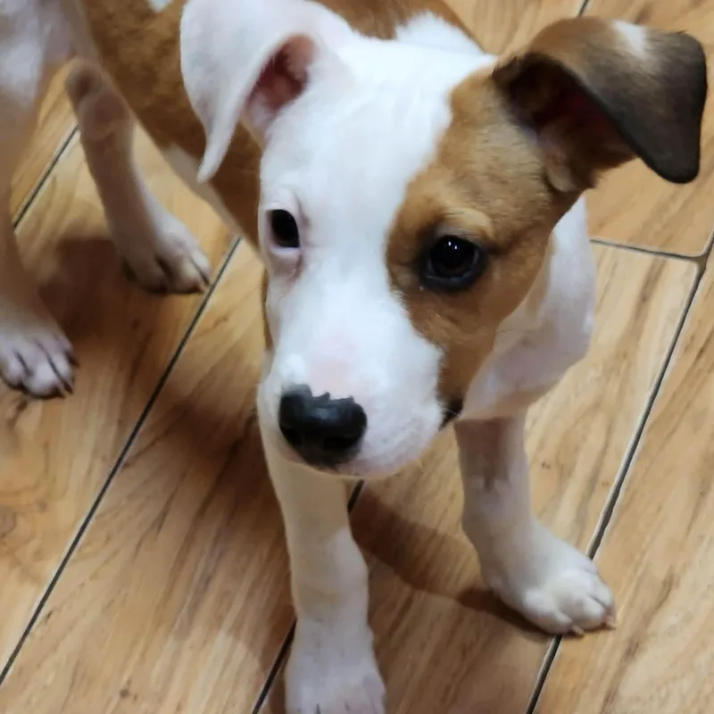 Wally thumbnail 2