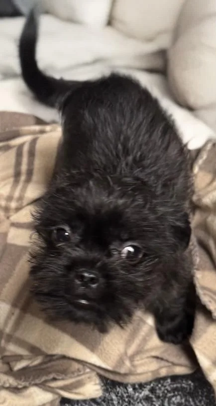 Jack