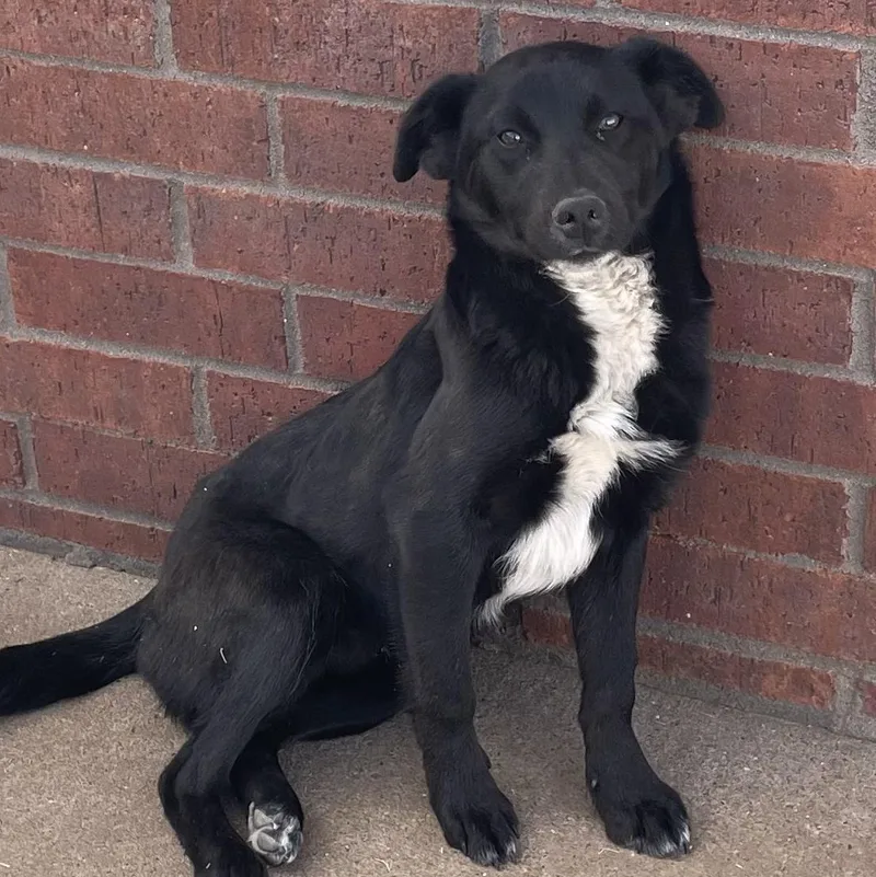 Mike Wazowski thumbnail 2