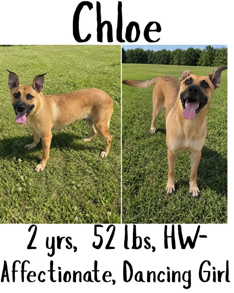 Chloe thumbnail 5