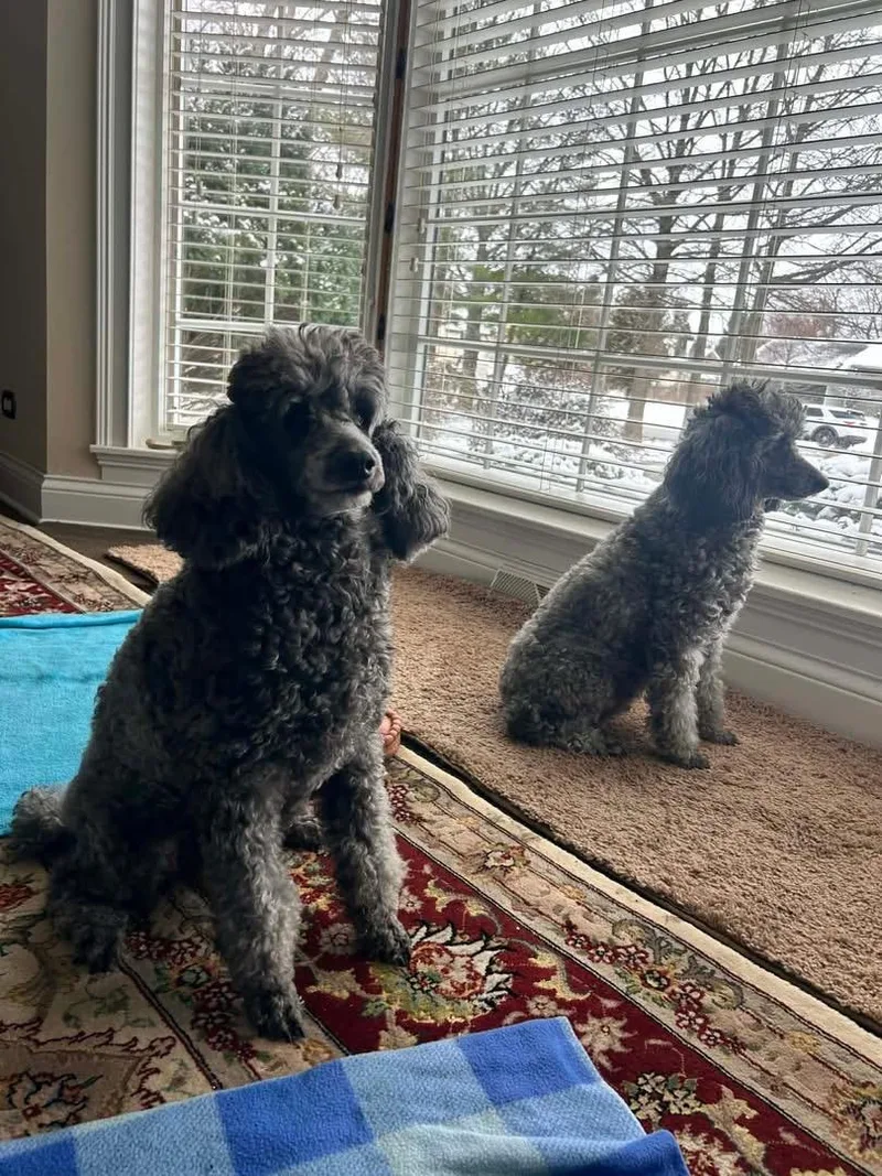 Joyce & Ashley thumbnail 3