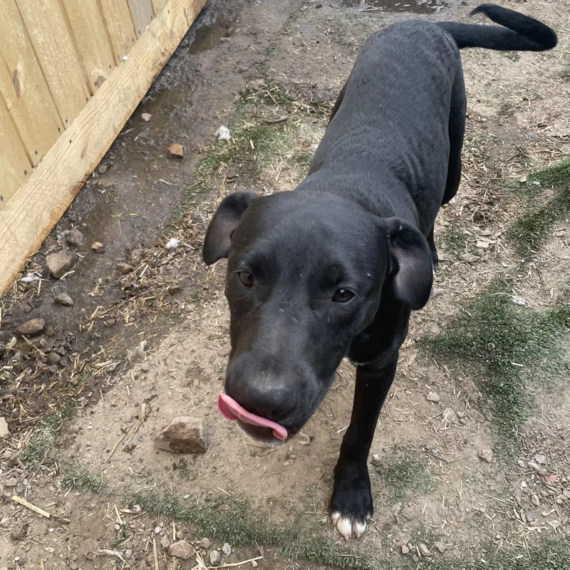 Tycoon Twinkle thumbnail 4