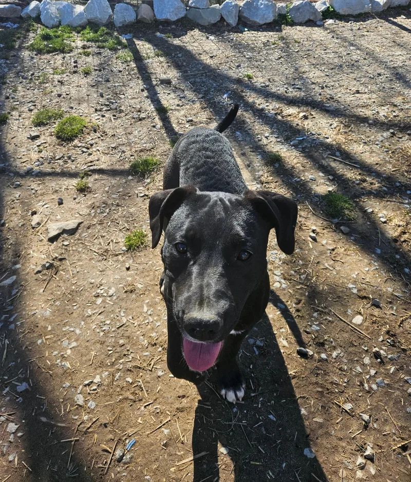 Tycoon Twinkle thumbnail 6