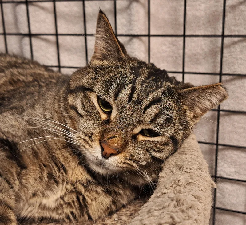 Bob And Sabrina thumbnail 2