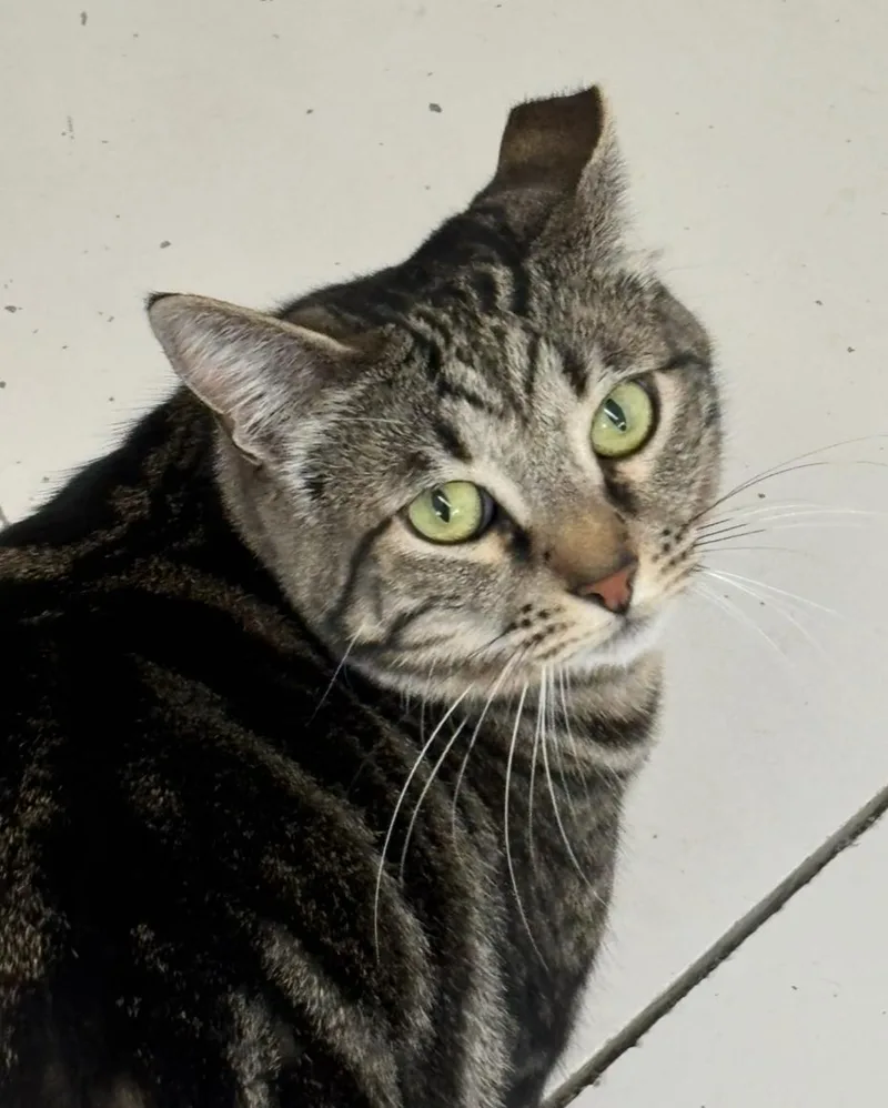 Bob And Sabrina thumbnail 3