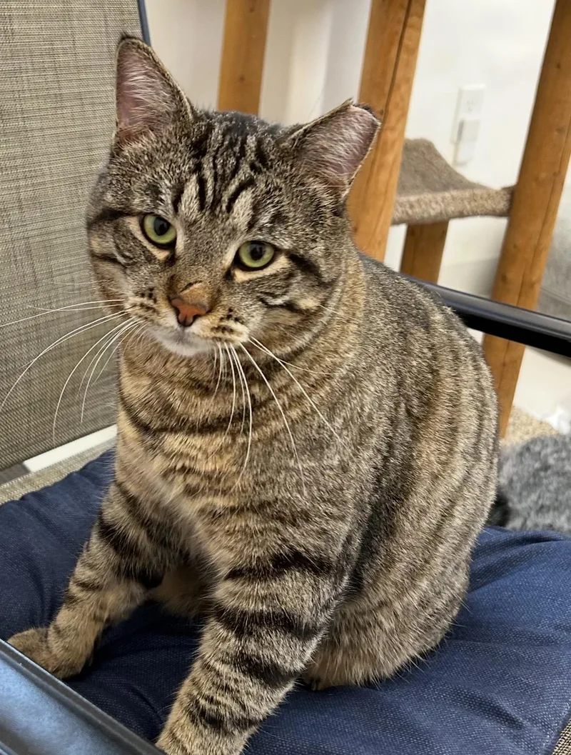 Bob And Sabrina thumbnail 4