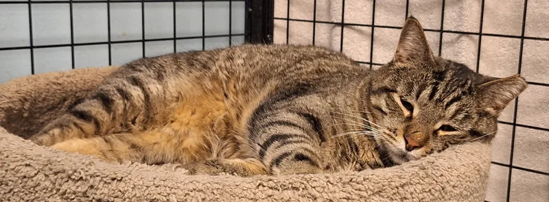 Bob And Sabrina thumbnail 5