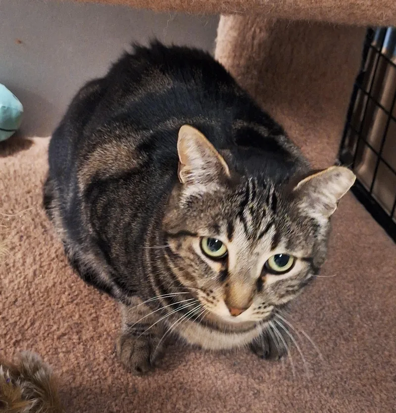 Bob And Sabrina thumbnail 6