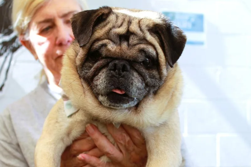 Levon Special Needs thumbnail 4