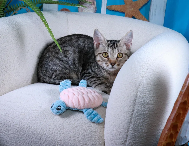 Chloe thumbnail 6