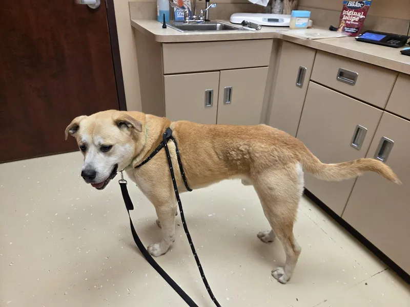 Zeusnot Accepting Applications Yet! thumbnail 2