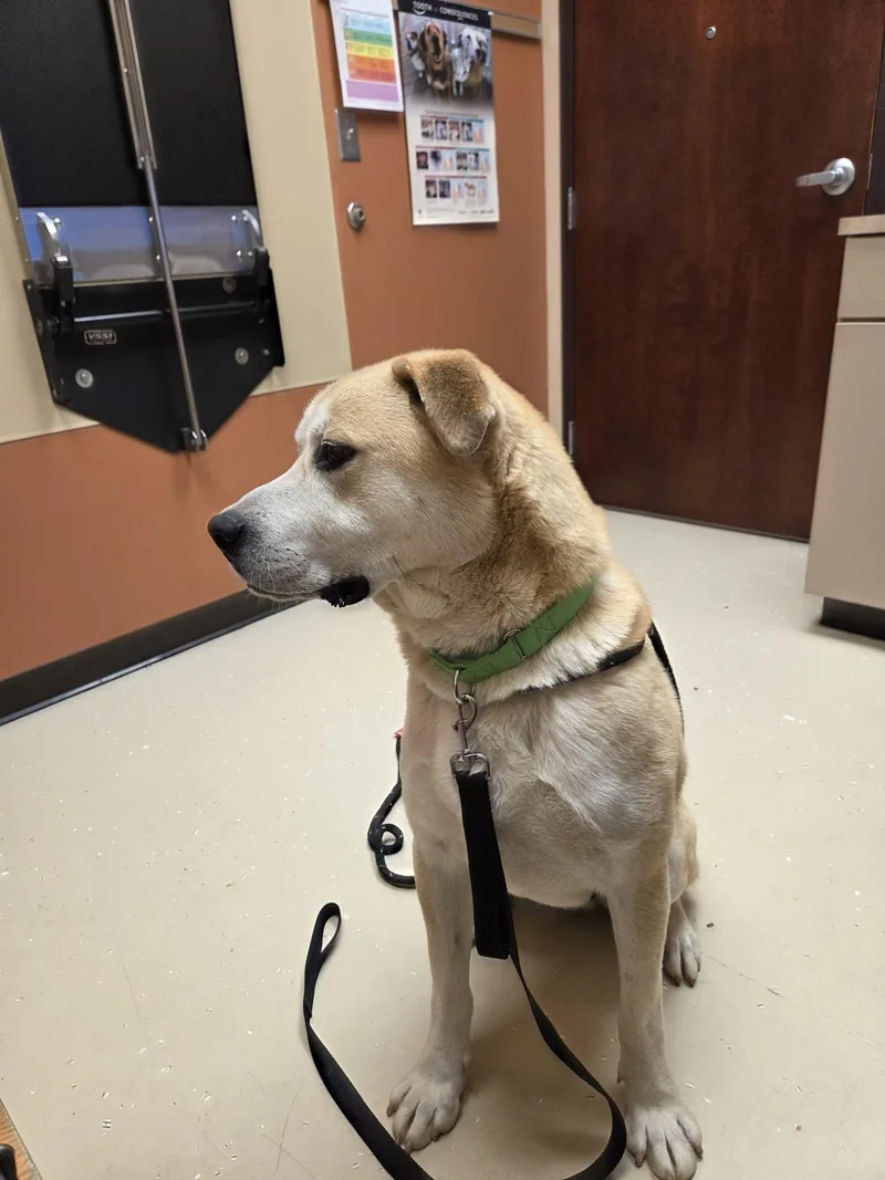 Zeusnot Accepting Applications Yet! thumbnail 3