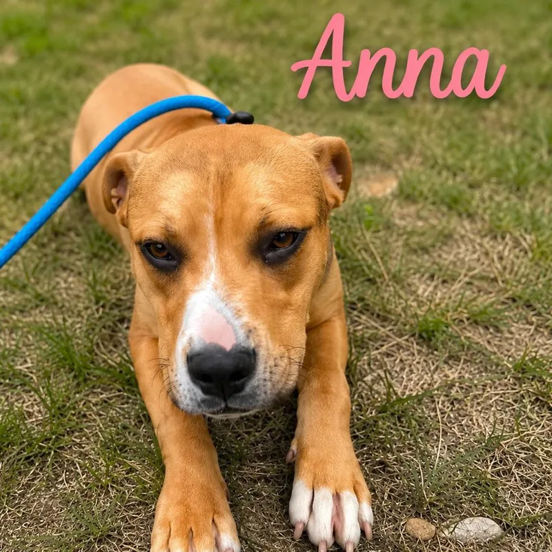 Anna