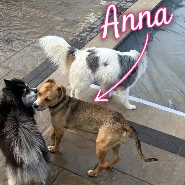 Anna thumbnail 3