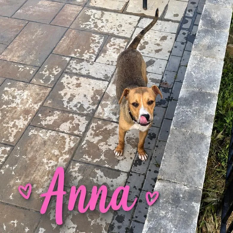 Anna thumbnail 4