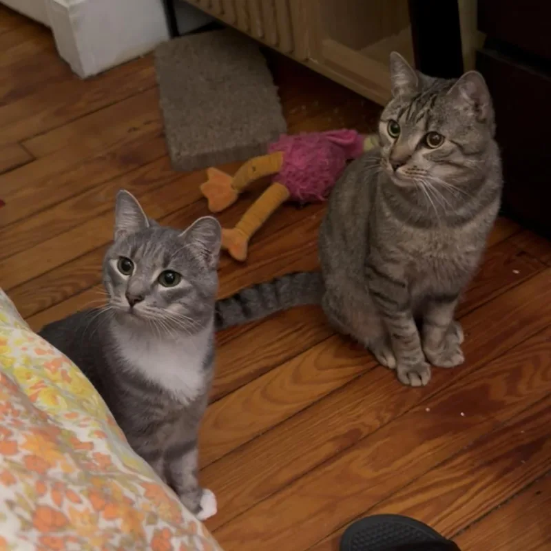 Almond & Cashew thumbnail 2