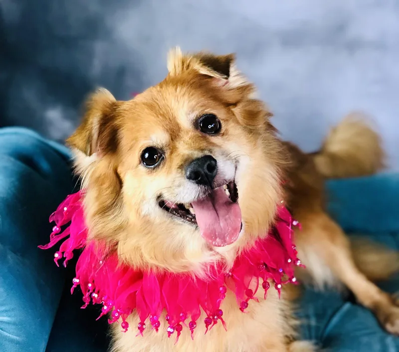 Molly thumbnail 3