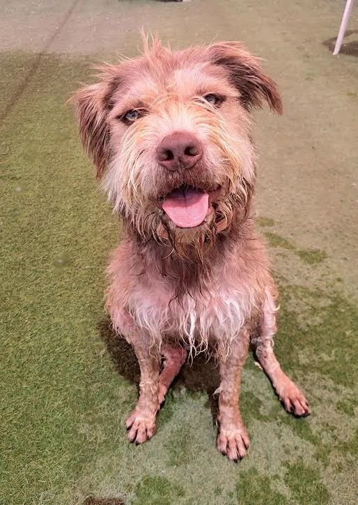 Princeton thumbnail 2