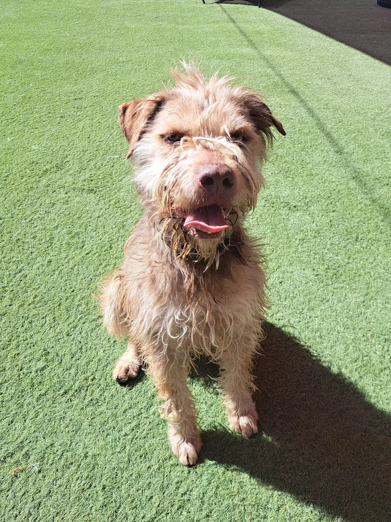 Princeton thumbnail 3