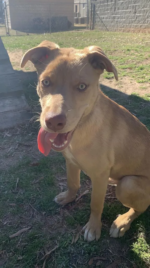 Yoga Matt thumbnail 2