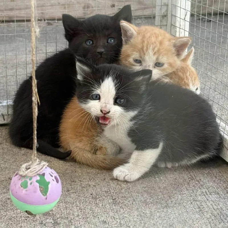 Clingy thumbnail 2