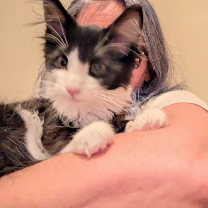 Big Tuna thumbnail 3